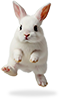 RipTight Maskottchen