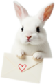 MailBunnyRiptightCut